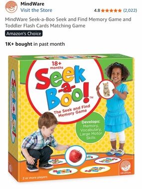 MindWare Seek-a-Boo! Kids Seek and Find Memory Game seekAboo